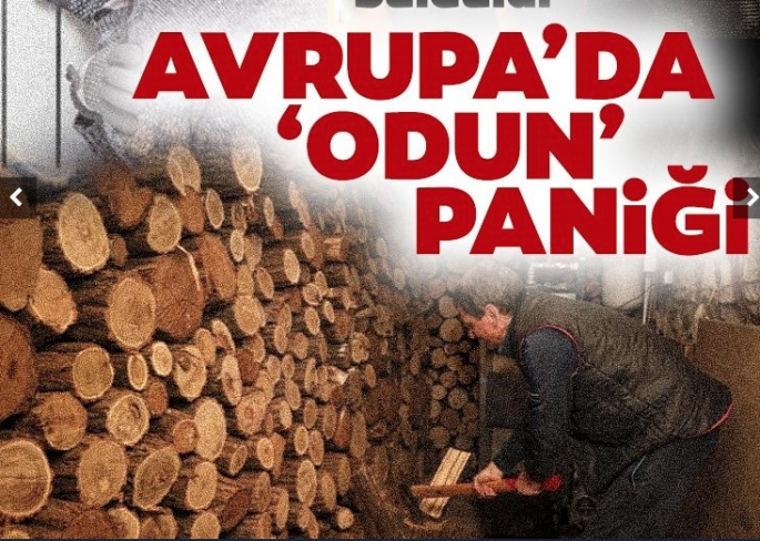 Avrupa’da ‘odun’ paniği!