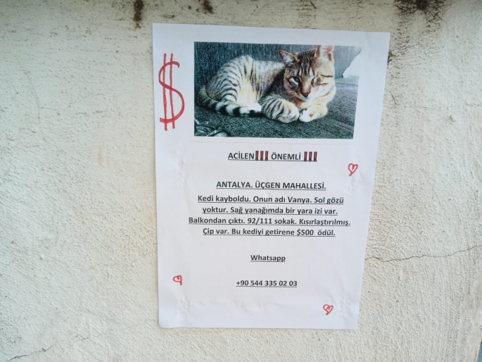 Bulana 500$ Ödül Var