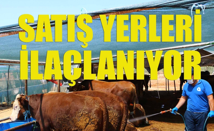 Büyükşehir Kurban Pazar Yerlerini İlaçlıyor