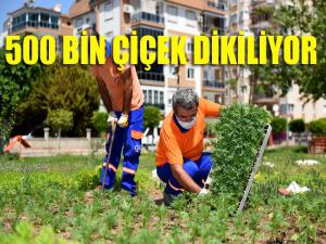 500 bin çiçek dikiliyor