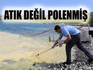 Atık değil polen kümesi