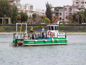 Boğaçayı'nda Ahtapot İşbaşında