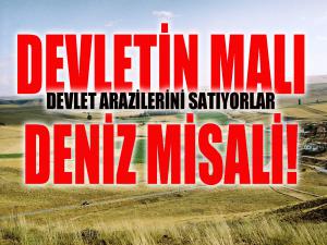 Devletin Malı Deniz Misali