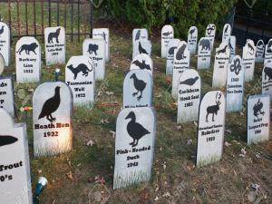 Kent Konseyinden Hayvan Mezarlığı Raporu