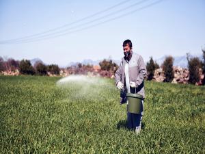 Kepez Buğday Tarlalarına Gözü Gibi Bakıyor