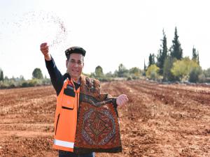 Kepezin Buğdayları Filizlendi