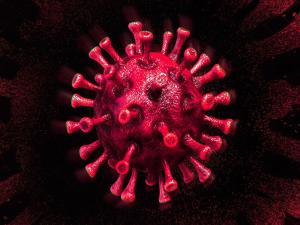Koronavirüs Hakkında Çıkan Haber Sayısı 34 Milyonu Aştı