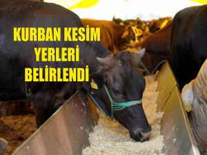 Kurban Kesim Yerleri Belirlendi