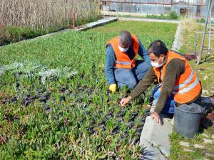 Manavgat Belediyesi Üreterek Tasarruf Ediyor