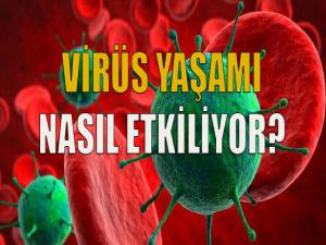 Virüs Yaşamı Nasıl Etkiledi?