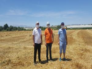 Ziraat Fakültesi Buğday Hasadında Rekor Kırdı