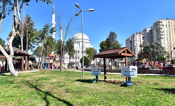 Kepez can dostlarına gözü gibi bakıyor