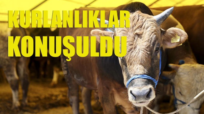 Kurbanlıklar Borsa'da konuşuldu