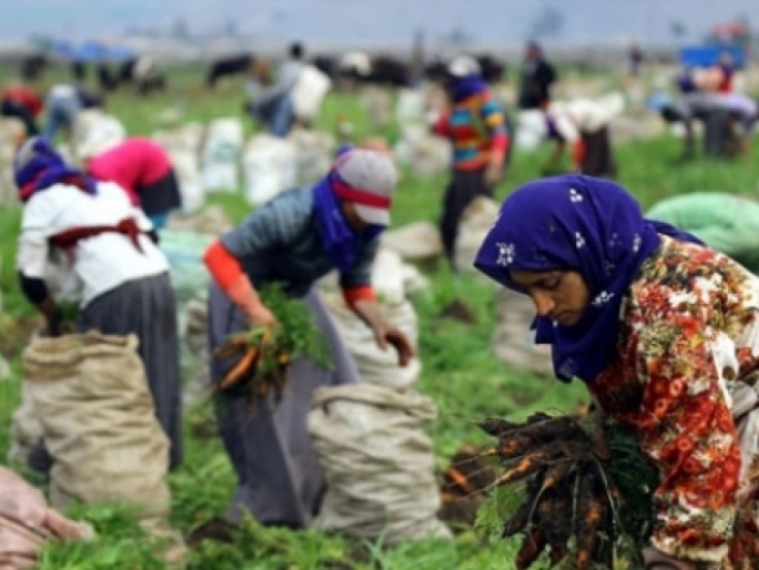 Mevsimlik işçiler kazanıyor