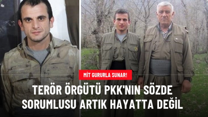 MİT açıkladı. Leş yere serildi