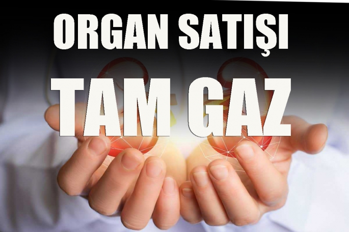 Organ satışı tam gaz! 