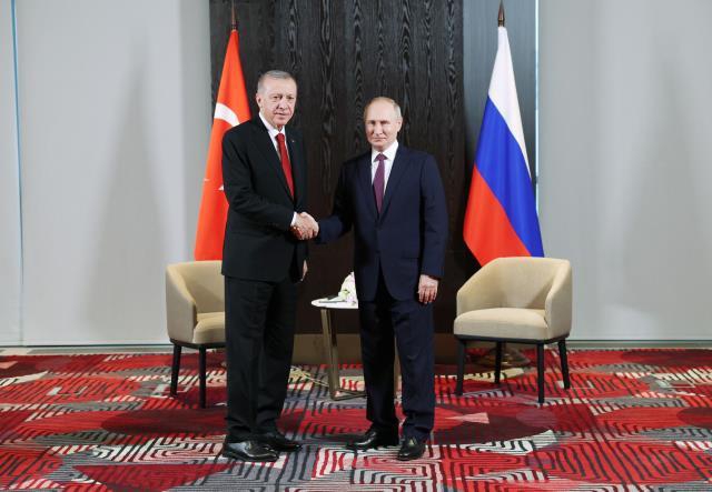 Putin Erdoğan'ı Ayakta Bekledi