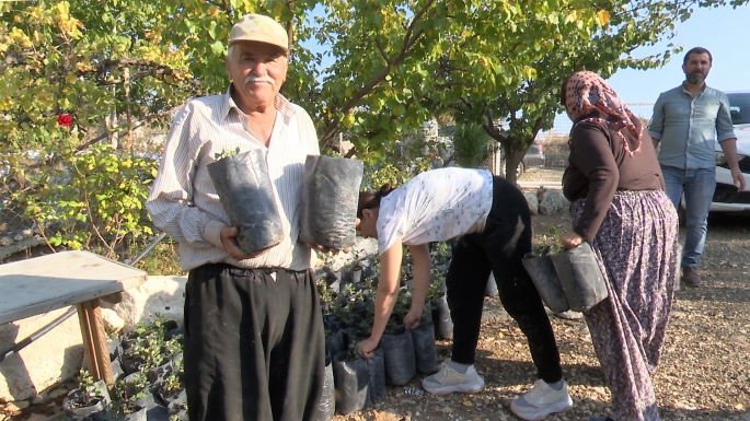 Seralarda yetiştirip çiftçiye dağıtıyor