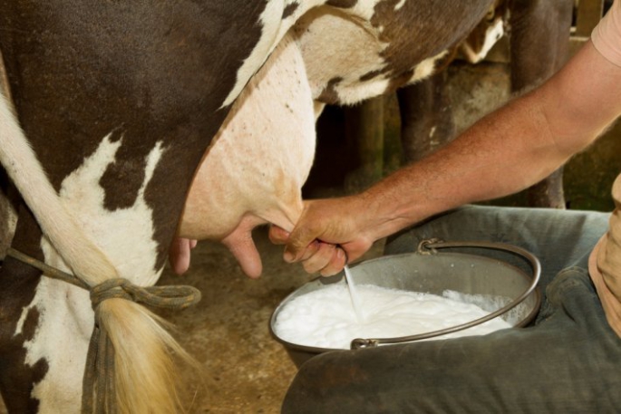 ‘Süt sektörü zor dönemden geçiyor’