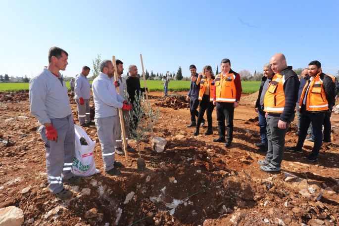 Tütüncü: “Zeytin gelecek demek”