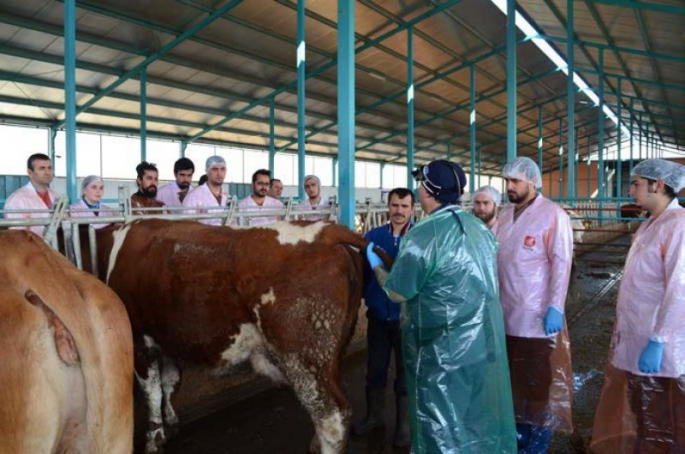 Uluslararası Akreditasyona Sahip Fakülte