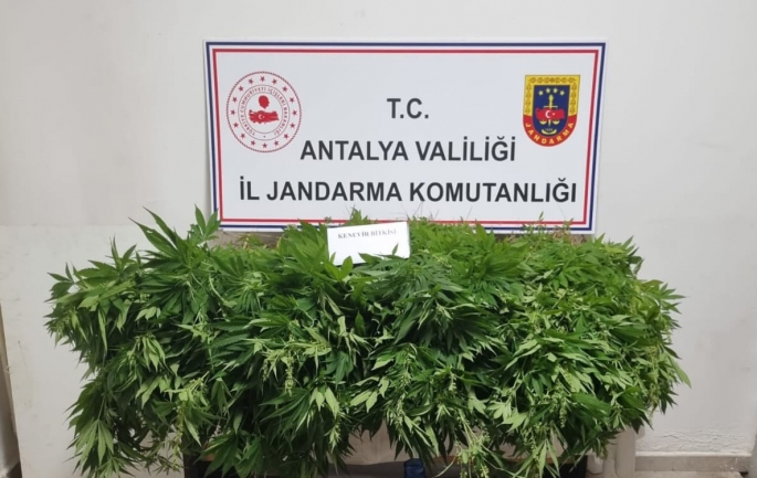 UYUŞTURUCUYLA MÜCADELE SÜRÜYOR